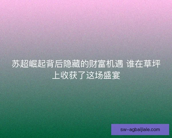 苏超崛起背后隐藏的财富机遇 谁在草坪上收获了这场盛宴